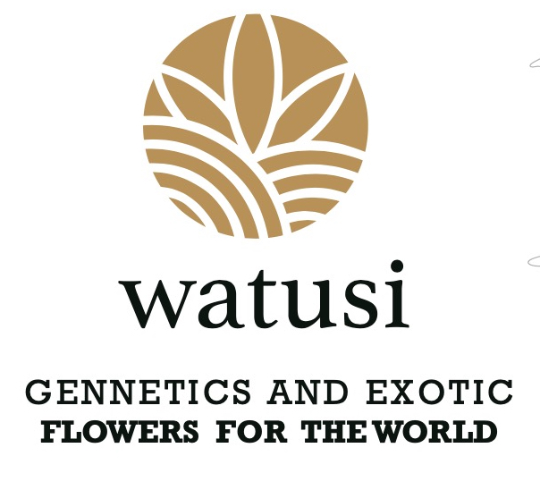 watusi logo