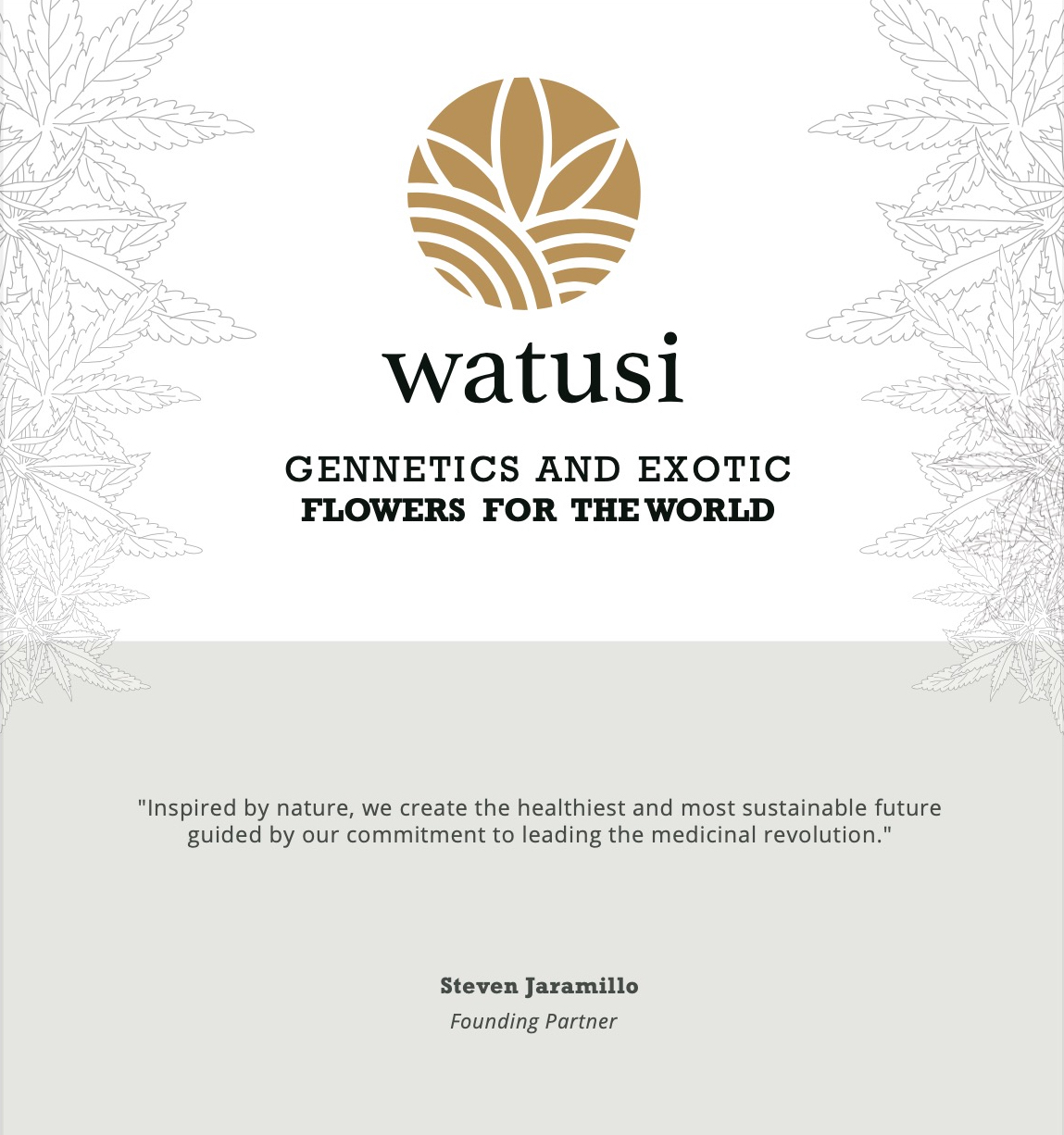 About Watusi